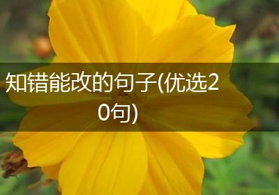 知错能改的句子(优选20句)