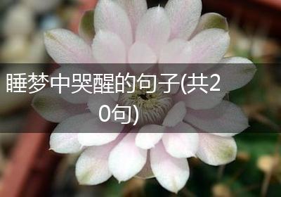 睡梦中哭醒的句子(共20句)