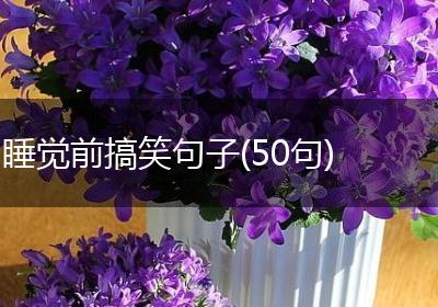 睡觉前搞笑句子(50句)