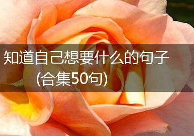 知道自己想要什么的句子(合集50句)