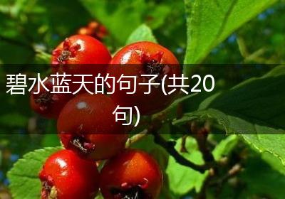 碧水蓝天的句子(共20句)