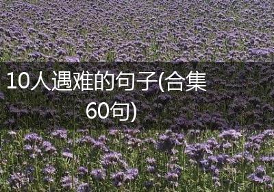 10人遇难的句子(合集60句)