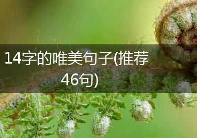 14字的唯美句子(推荐46句)