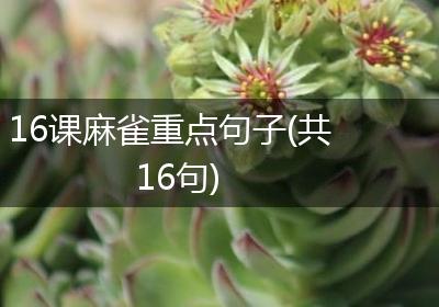 16课麻雀重点句子(共16句)