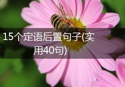15个定语后置句子(实用40句)