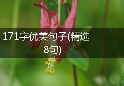 171字优美句子(精选8句)