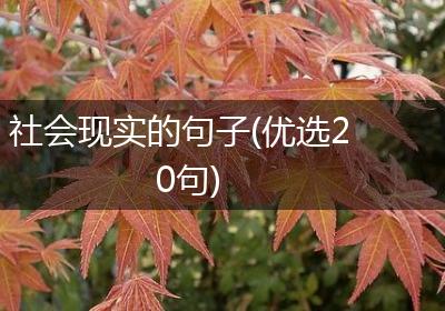 社会现实的句子(优选20句)