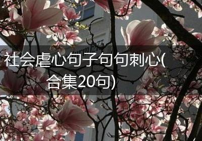 社会虐心句子句句刺心(合集20句)