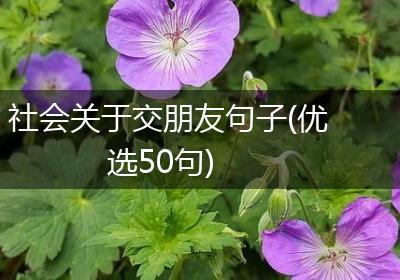 社会关于交朋友句子(优选50句)