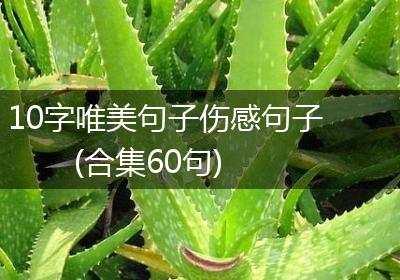 10字唯美句子伤感句子(合集60句)