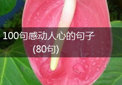 100句感动人心的句子(80句)
