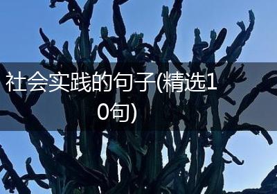 社会实践的句子(精选10句)