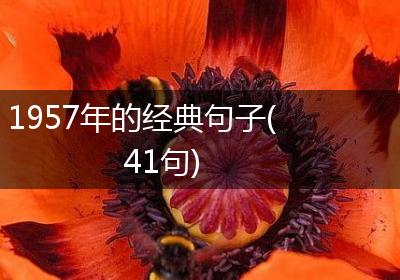 1957年的经典句子(41句)