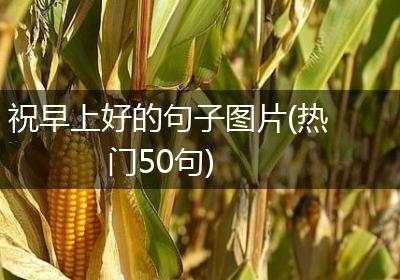 祝早上好的句子图片(热门50句)
