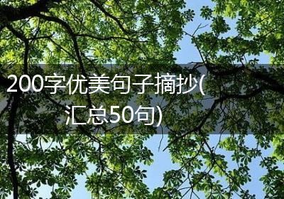 200字优美句子摘抄(汇总50句)