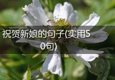 祝贺新娘的句子(实用50句)