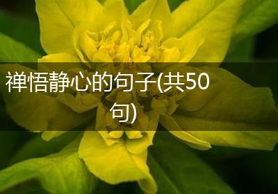 禅悟静心的句子(共50句)