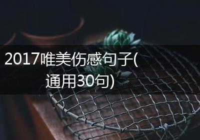 2017唯美伤感句子(通用30句)