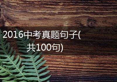 2016中考真题句子(共100句)