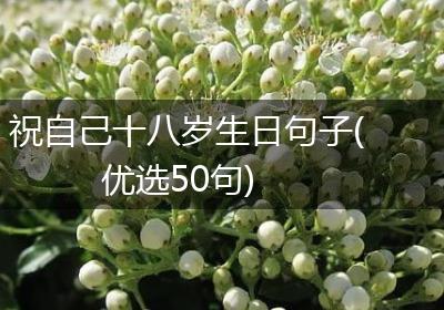 祝自己十八岁生日句子(优选50句)
