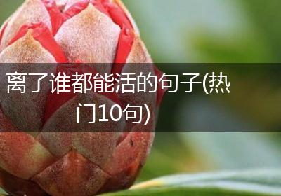 离了谁都能活的句子(热门10句)