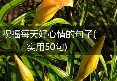 祝福每天好心情的句子(实用50句)