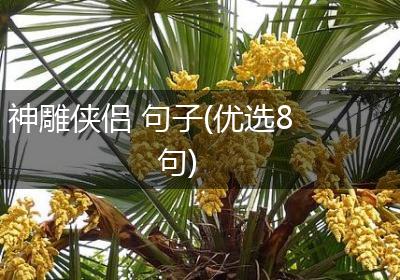 神雕侠侣 句子(优选8句)