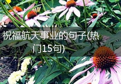 祝福航天事业的句子(热门15句)