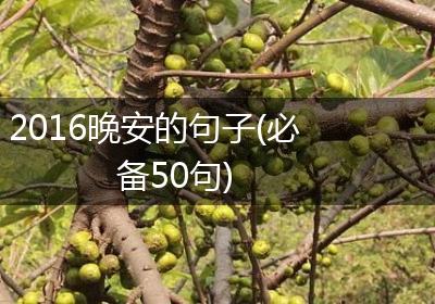 2016晚安的句子(必备50句)