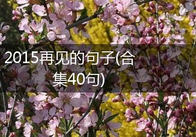 2015再见的句子(合集40句)