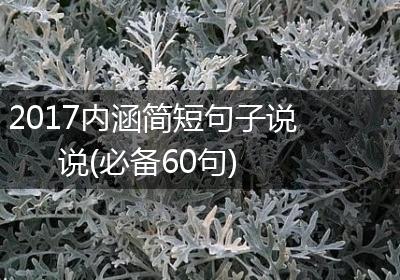 2017内涵简短句子说说(必备60句)