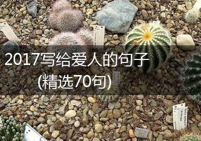 2017写给爱人的句子(精选70句)
