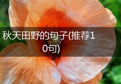 秋天田野的句子(推荐10句)