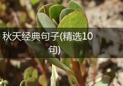 秋天经典句子(精选10句)