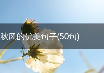 秋风的优美句子(50句)