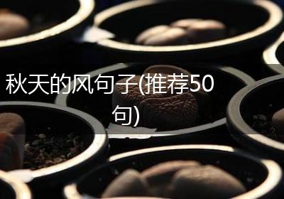 秋天的风句子(推荐50句)