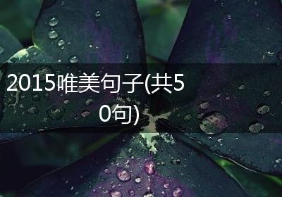 2015唯美句子(共50句)