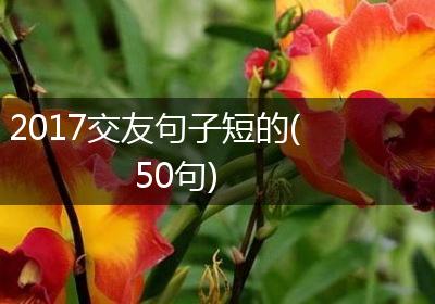 2017交友句子短的(50句)