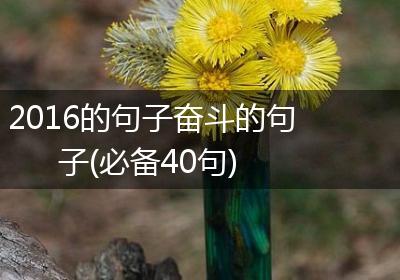 2016的句子奋斗的句子(必备40句)