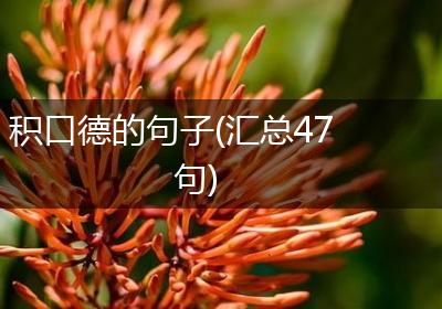 积口德的句子(汇总47句)