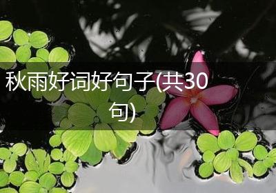 秋雨好词好句子(共30句)
