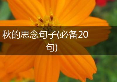 秋的思念句子(必备20句)