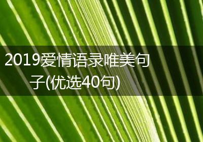 2019爱情语录唯美句子(优选40句)