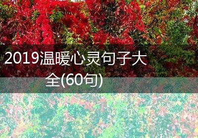 2019温暖心灵句子大全(60句)