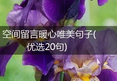 空间留言暖心唯美句子(优选20句)