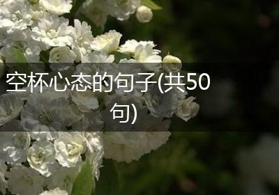 空杯心态的句子(共50句)