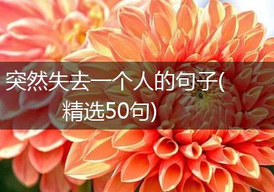 突然失去一个人的句子(精选50句)