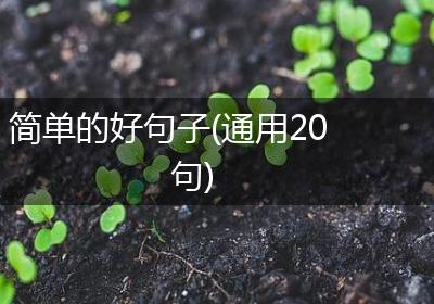 简单的好句子(通用20句)