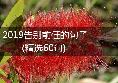 2019告别前任的句子(精选60句)