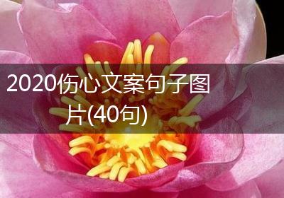 2020伤心文案句子图片(40句)